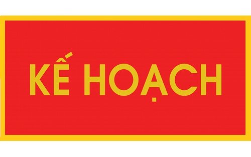 Không có ảnh